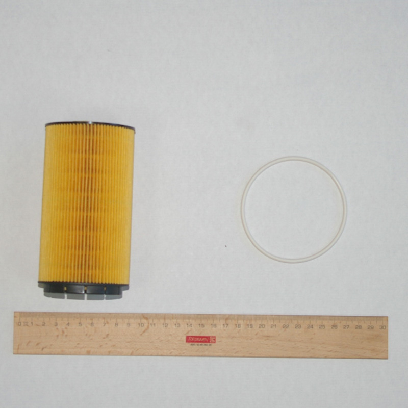 Product image 1 of the product “Oil Filter & Gasket ”