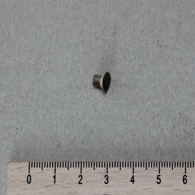 PRODUCT_GALLERY_IMAGE_ALT